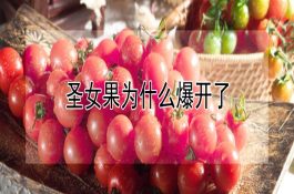 南美白对虾发生软壳病的防治