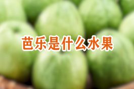 浙江温州召开中稻新品种展示现场会