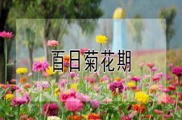 鱼类摄食减少的原因及对策