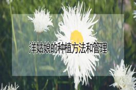 虾塘综合利用-虾、蟹混养及轮养