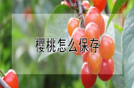 成蟹网箱暂养技术
