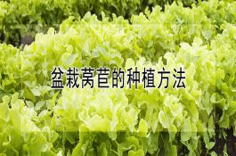 防治蟹病增效益