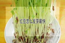 河蟹养殖四改措施