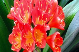 对虾饲料的质量管理