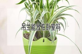 介绍几种鱼粉替代物