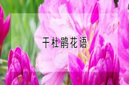 河蟹的主要疾病预防及防治技术