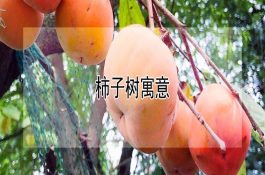 “七消毒”预防草鱼“三病”
