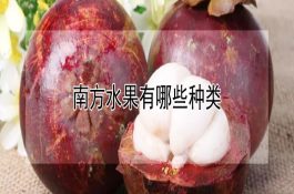 池塘养殖河蟹的死亡原因及对策