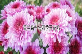 河蟹常见病害―河蟹蟹奴病怎么养？饲养环境、饲料与日常管理要点