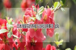 冬小麦节水灌溉的主要措施