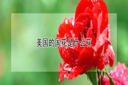 秋季慎防河蟹死亡