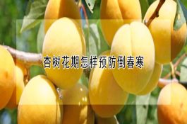怎样用稀土喂鱼