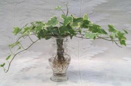 罗氏沼虾养殖――幼虾培育