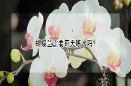 收购鳝苗时（检测鳝苗质量的方法）