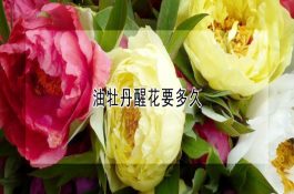 小鹅瘟的防治措施