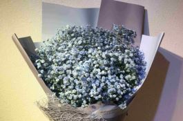 快一点麦田专用除草剂