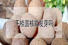稻瘟病的防治