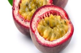 玉米地套种草菇技术