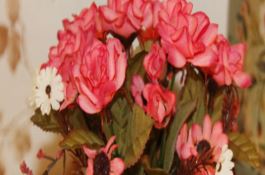 黄瓜红粉病及防治