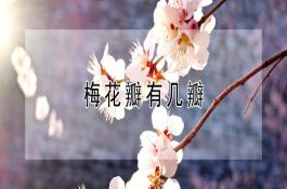 露地种植要点：时间、方法与养护管理汇总