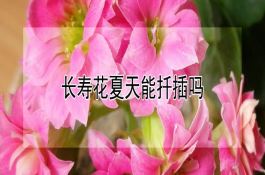优质杂交水稻新组合渝优35