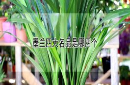 两系杂交粳稻皖稻48及其栽培技术