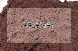 MB220型玉米青贮饲料收获机