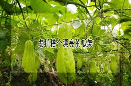 堆制玉米秸秆肥的注意事项