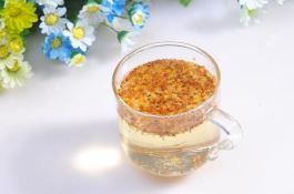 红薯育苗的几种新法