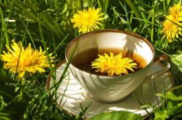 蒲公英茶哪些人不宜喝（体质虚寒、过敏、孕妇都不宜饮用）
