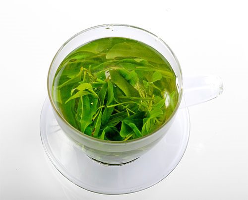 大新苦丁茶