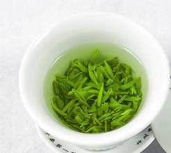 乌牛早茶