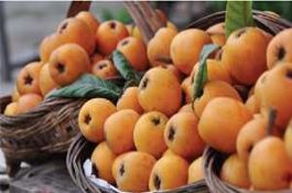 什么原因造成番茄落花落果