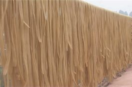 脐橙丰产的技术要点