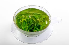 广西特产（大新苦丁茶）