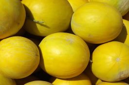 甘肃特产（民勤蜜瓜）