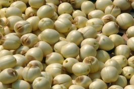 江西特产（石城白莲）