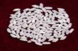 上海特产（松江大米）