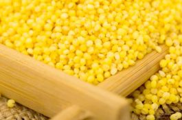 豇豆叶霉病的病症及防治法