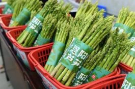 空心菜叶子发黄咋回事
