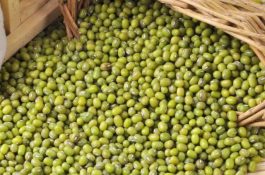 防治彩椒成株期病毒病须知