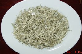 广东特产(仁化白毛茶)