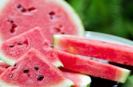 栽培黄皮洋葱的技术要点