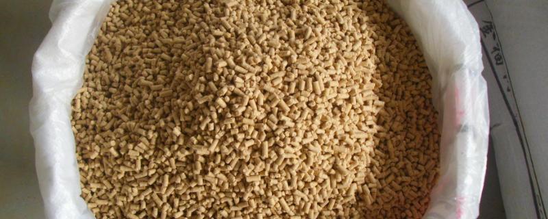 猪饲料过期三个月了还能喂吗 一般怎么处理过期的猪饲料