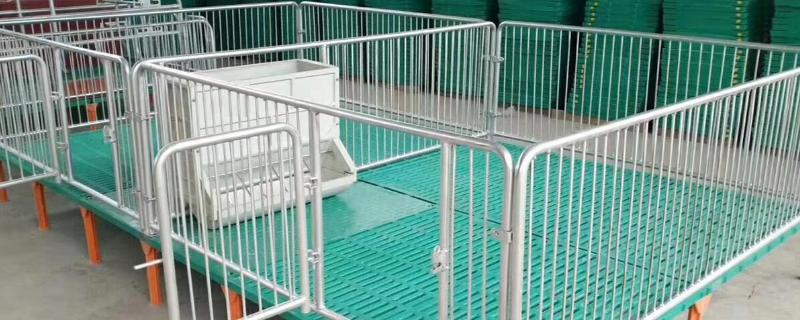 母猪产床安装步骤 母猪小挑花常见的三种定位法