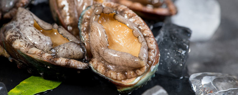 鲍鱼绿色的内脏是什么？