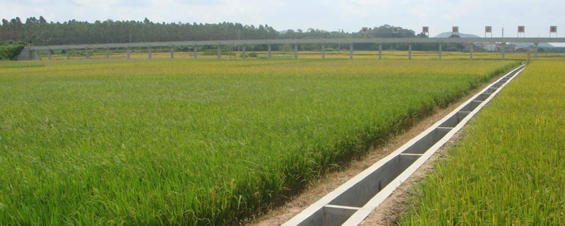 基本农田可以养鱼吗？