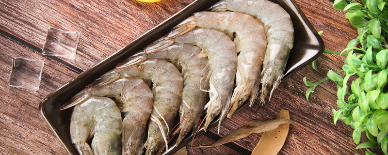 南美白对虾泡沫多怎么多久？