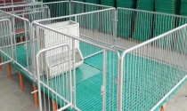 母猪产床安装步骤（母猪小挑花常见的三种定位法）
