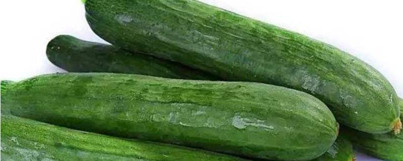 黄瓜能用复合肥追肥吗 一亩地用多少?